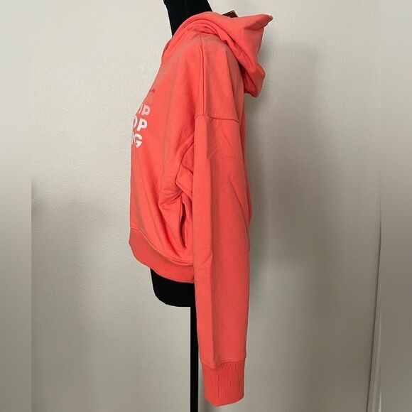 NWT The North Face Logo Play Hoodie - Picture 6 of 11